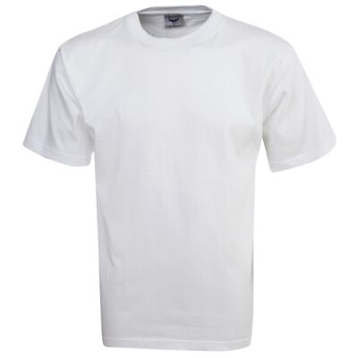 Premium Pre-Shrunk Cotton T-Shirt  Thumbnail
