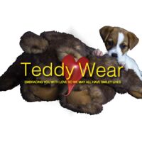 Teddywear Thumbnail